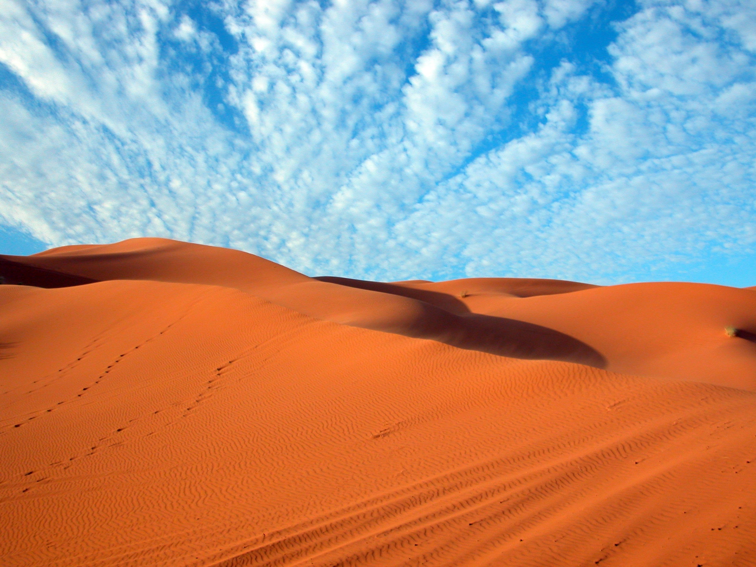 Desert